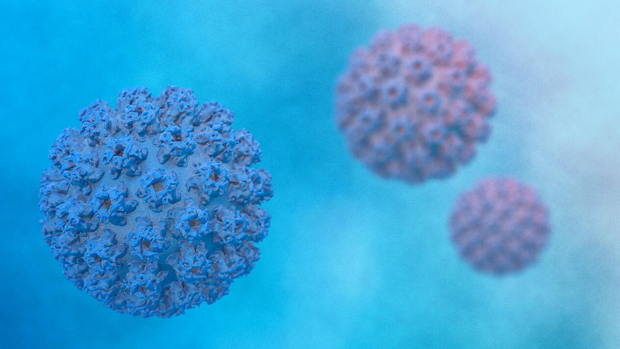Papillomavirus