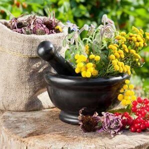 herbes pour traiter les papillomes